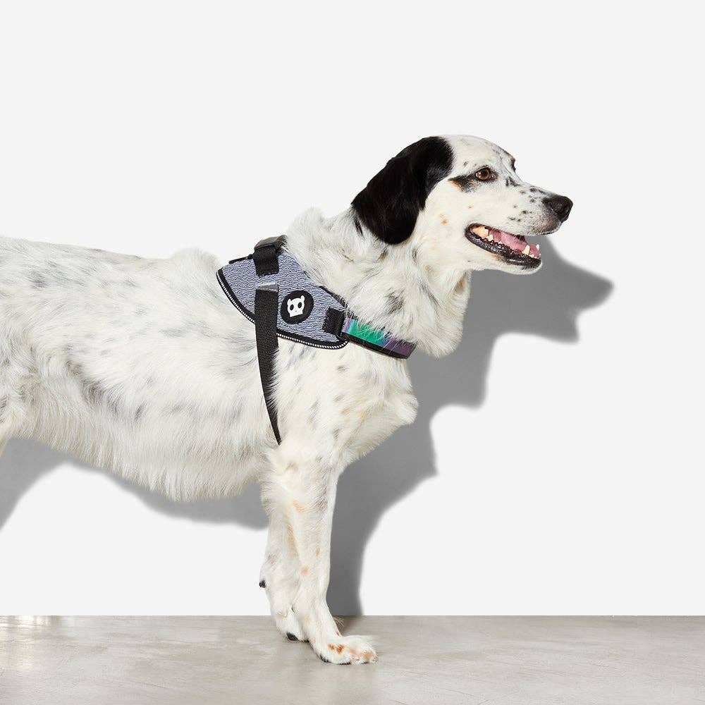 Zee.Dog - Urban | FlyHarness: Size 2