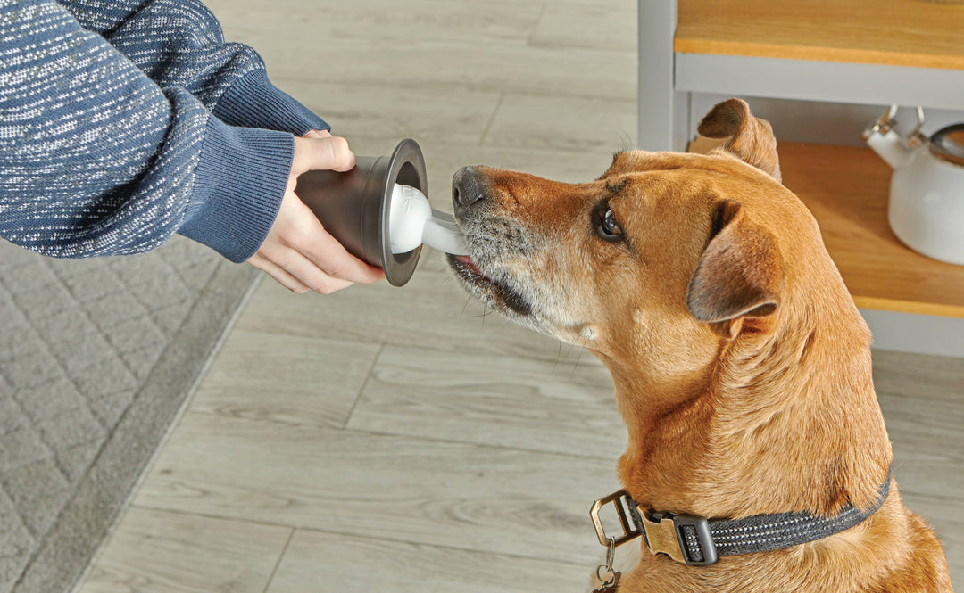 Hunger for Words and Brightkins - Brightkins™ Magic Trick! Training Set