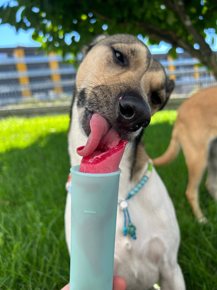 Cooka's Cookies - Ice-cream Mix with real chicken & strawberry for pets