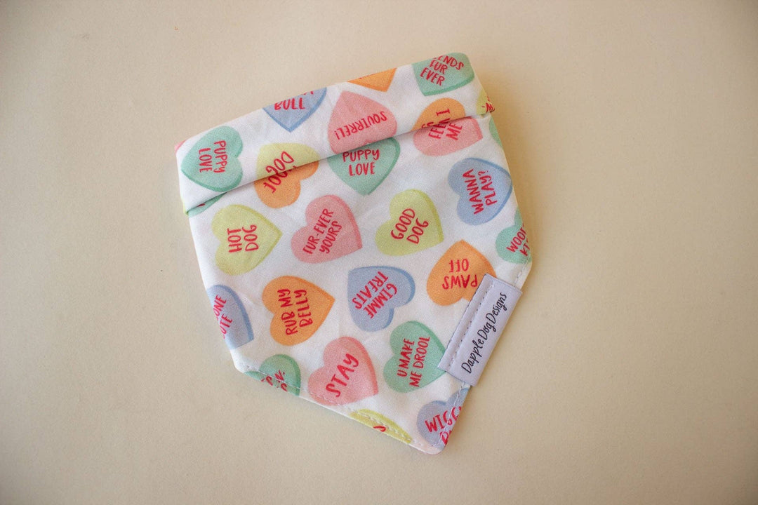 Dapple Dog Designs - Conversation Hearts Bandana - Valentine's Day Dog Bandana