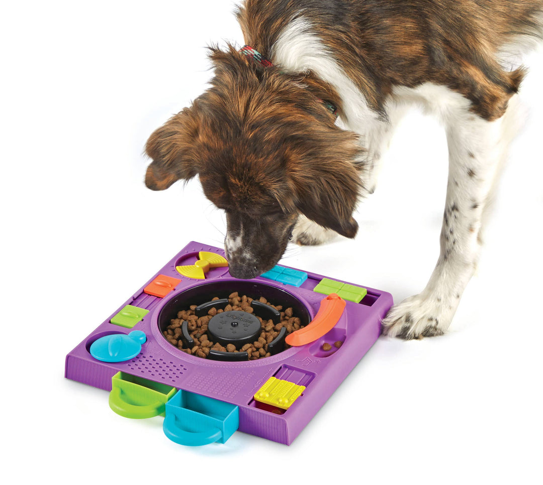 Hunger for Words and Brightkins - Brightkins™ DJ Turntable Puzzle Feeder