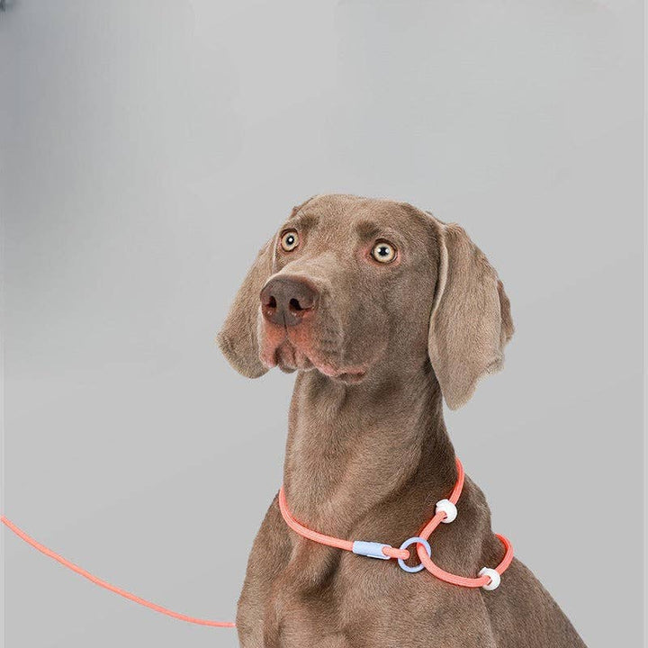 Cheerhunting - Loofie - Lightweight Nylon Dog Leash: Pink