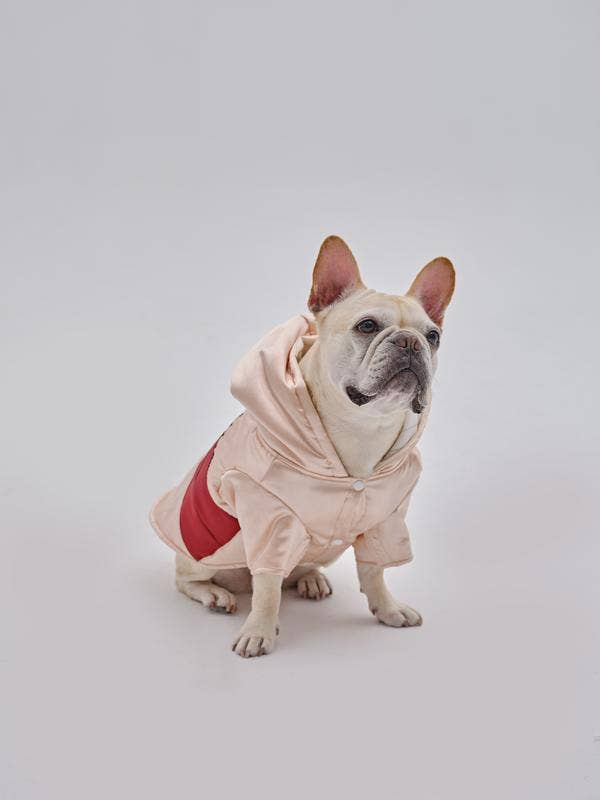 PEHOM - Pet Pocket Hoodie: L