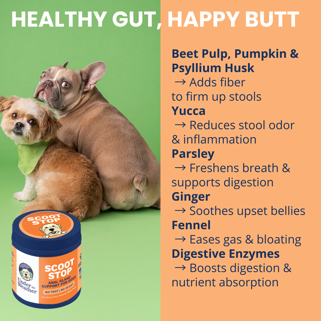 Under the Weather Pet - Scoot Stop Soft Chews for Dogs