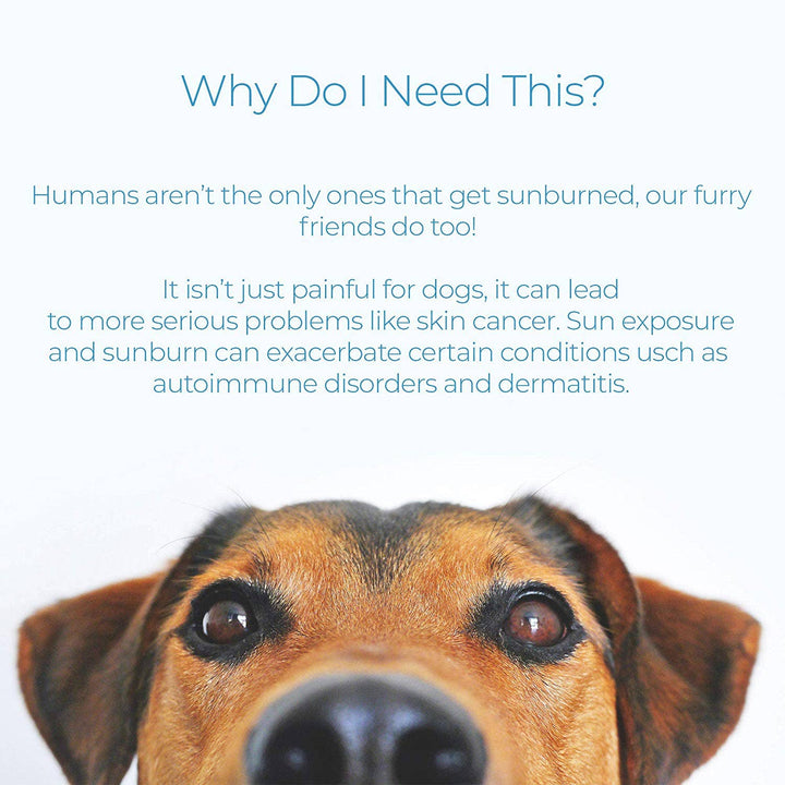 Klearwater Distribution - My Dog Nose It! Moisturizing Sun Protection Balm for Dogs: 0.5 Oz