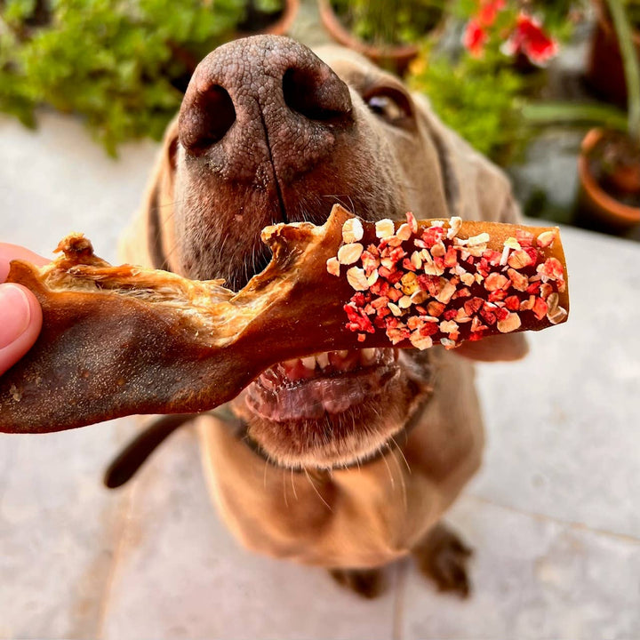 Cooka's Cookies - Candy Crush Pack - Dried Meats & Fish with dogfetti