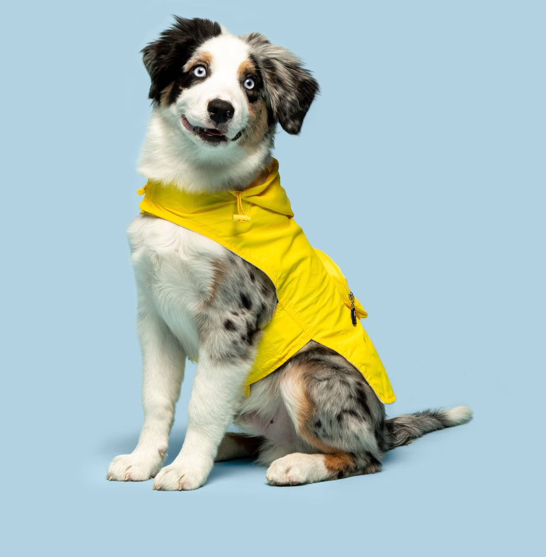 Yellow Packaway Dog Raincoat: S