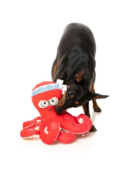 Pet Palette Distribution - FuzzYard Takoyaki