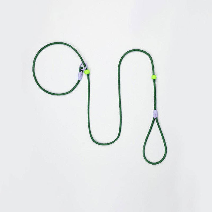 Cheerhunting - Loofie - Lightweight Nylon Dog Leash: Blue