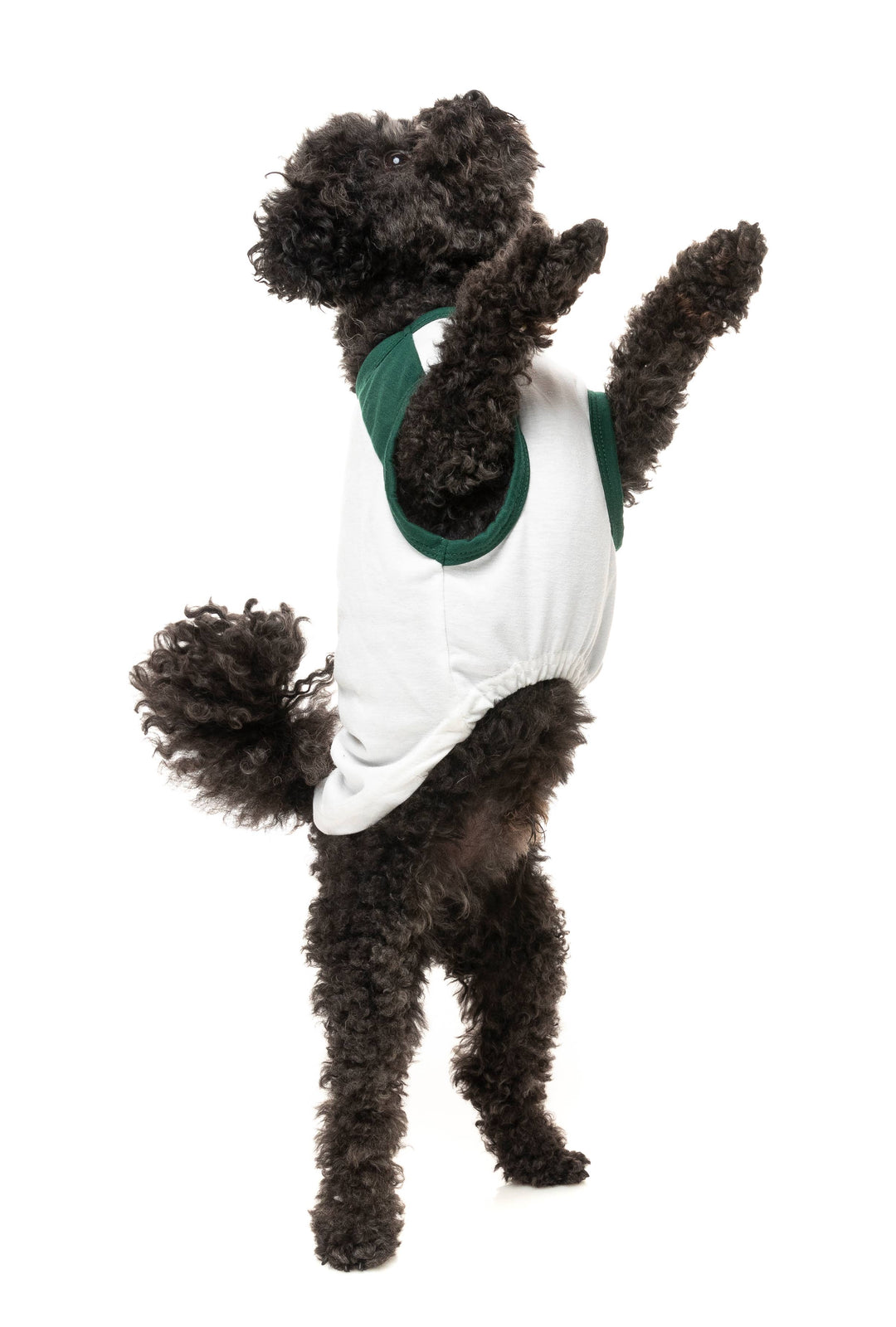 Pet Palette Distribution - Fuzzyard T-Shirt All I Want For Christmas Is Food: 1