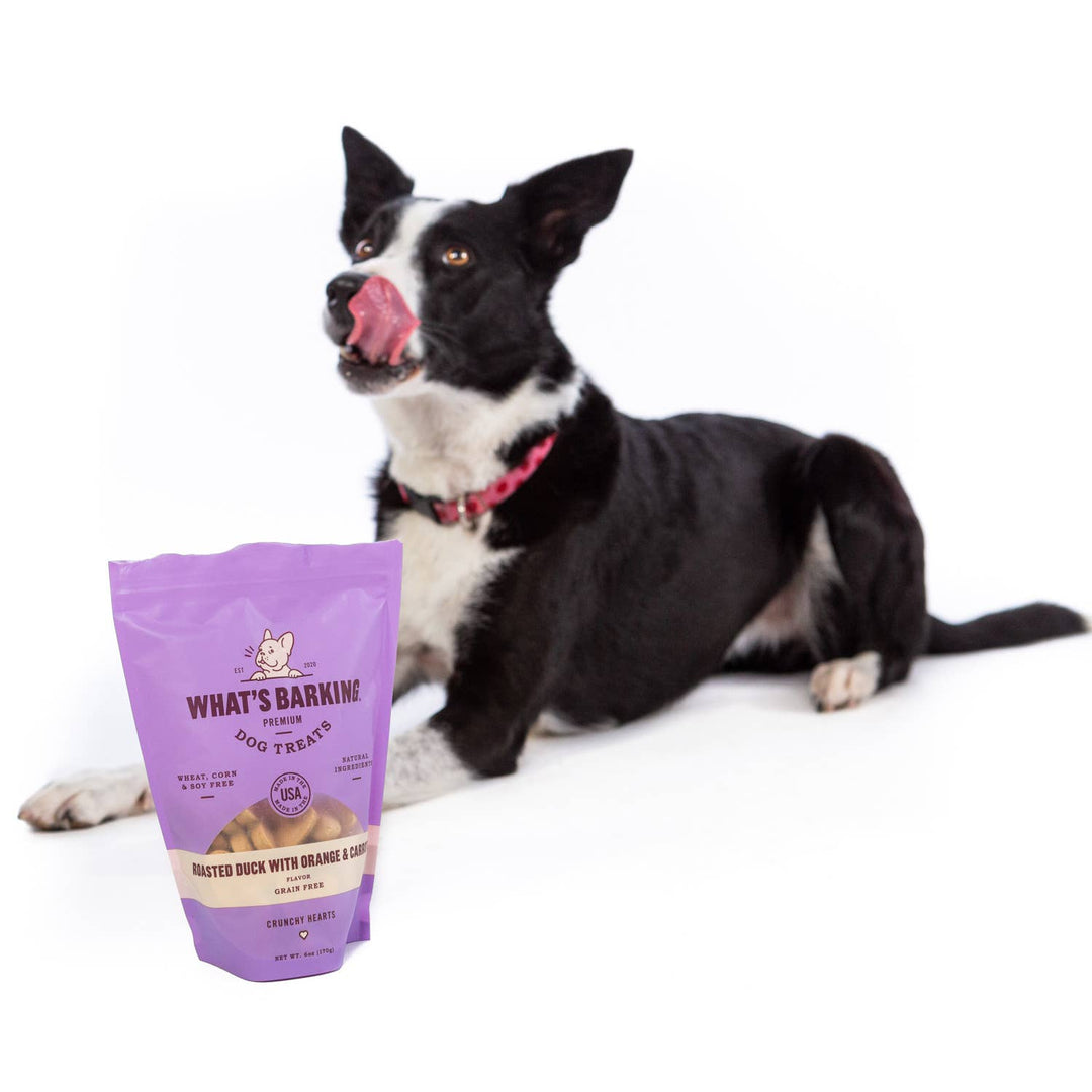 Roasted Duck w/ Orange & Carrot Crunchy Dog Treats, 1oz Case