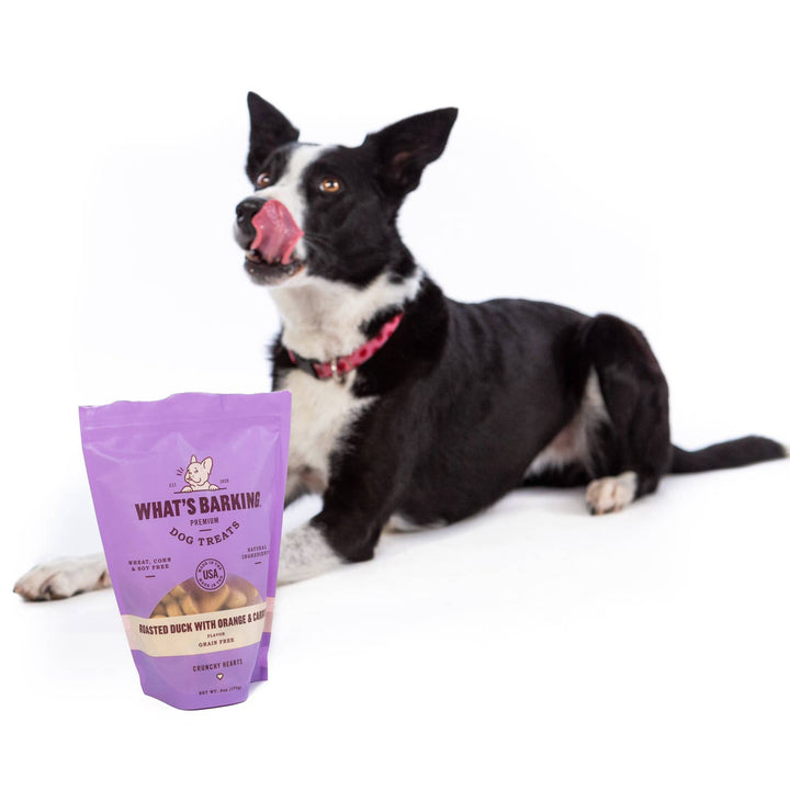 Roasted Duck w/ Orange & Carrot Crunchy Dog Treats, 1oz Case