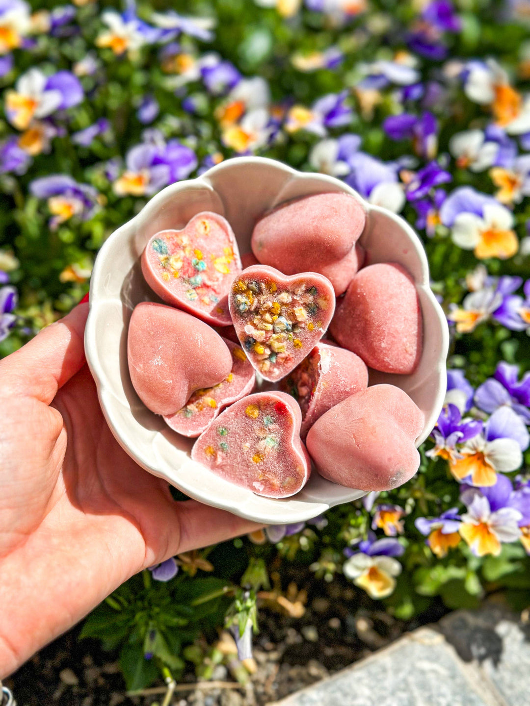 Cooka's Cookies - Ice-cream Mix with real chicken & strawberry for pets