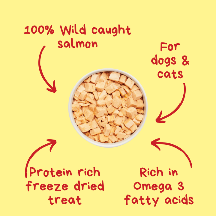 Woofpak Dog Bakery - Wild Caught Salmon