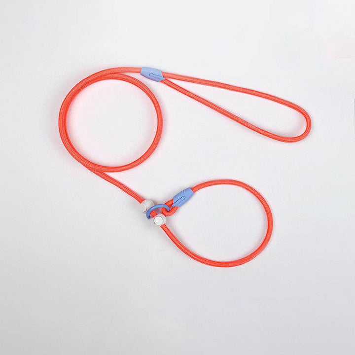 Cheerhunting - Loofie - Lightweight Nylon Dog Leash: Blue