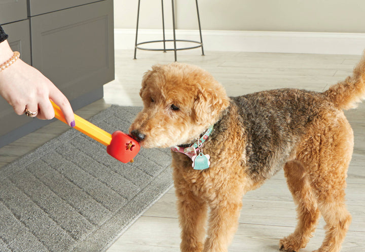 Hunger for Words and Brightkins - Brightkins™ Pooch School! Training Set