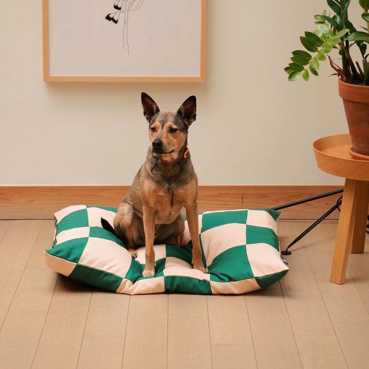 The Fritz Bed - Machine Washable, Recycled, Scratch Proof