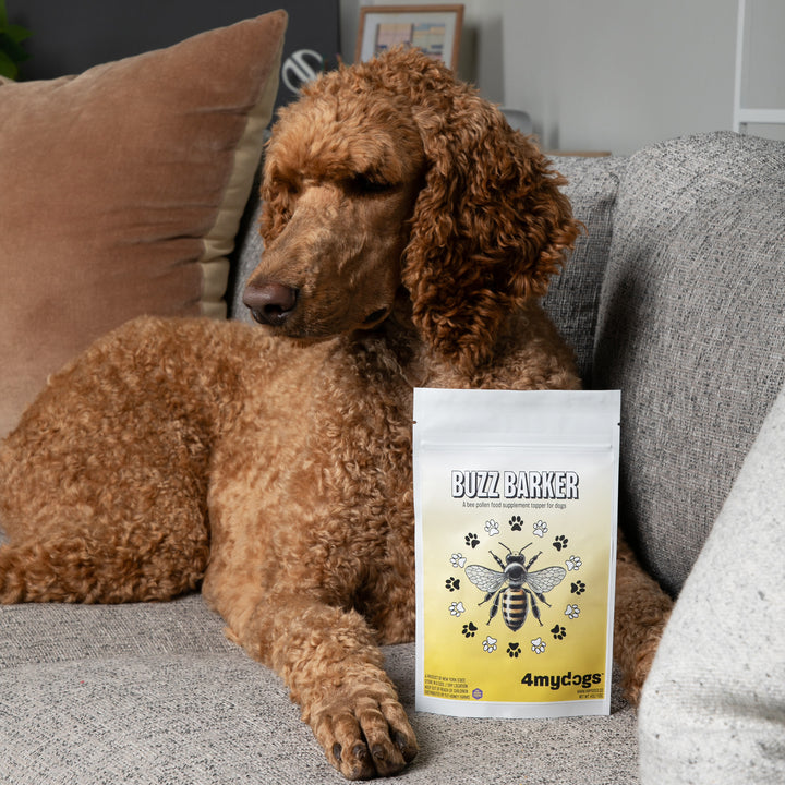 Buzz Barker - A Bee Pollen Food Topper for Dogs