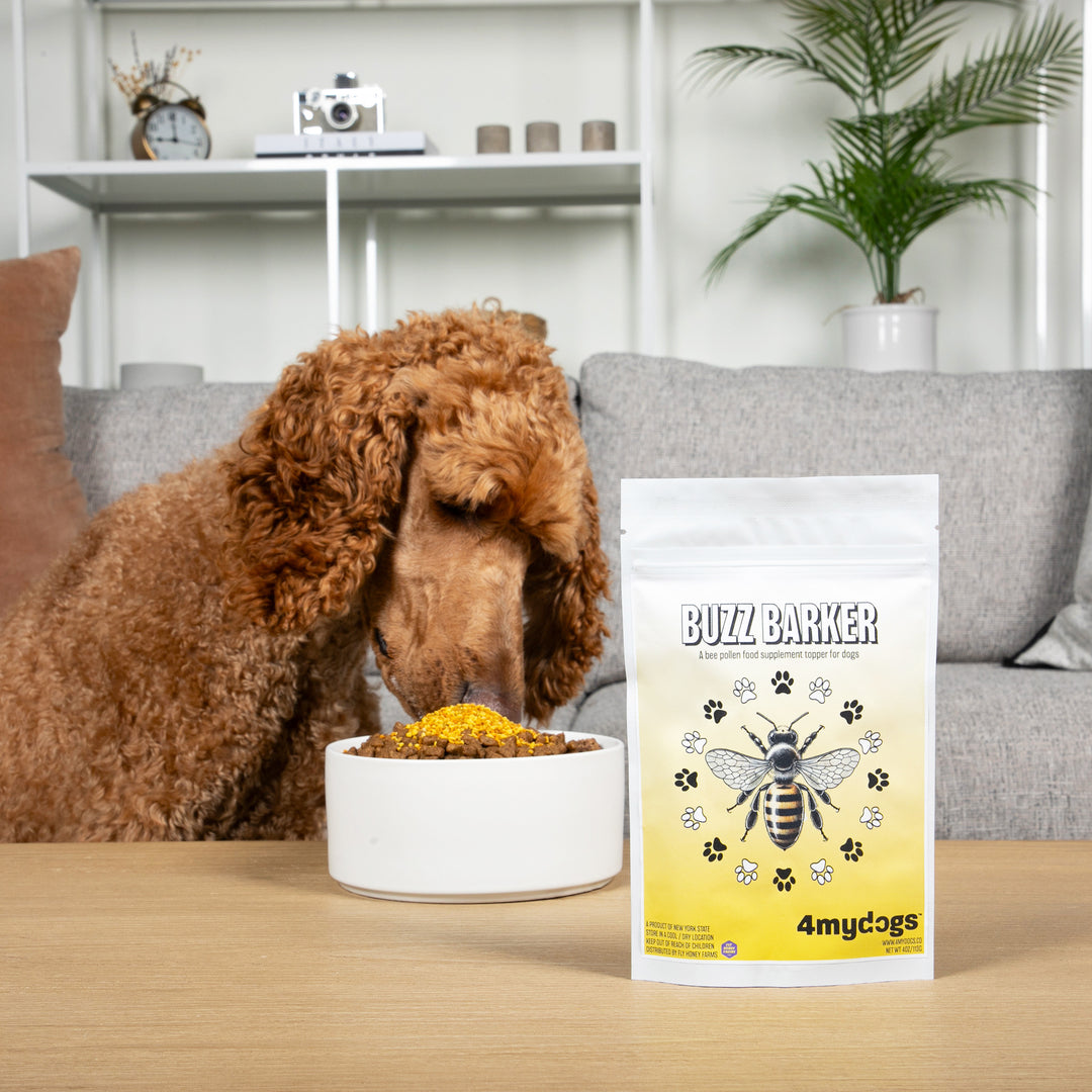 Buzz Barker - A Bee Pollen Food Topper for Dogs