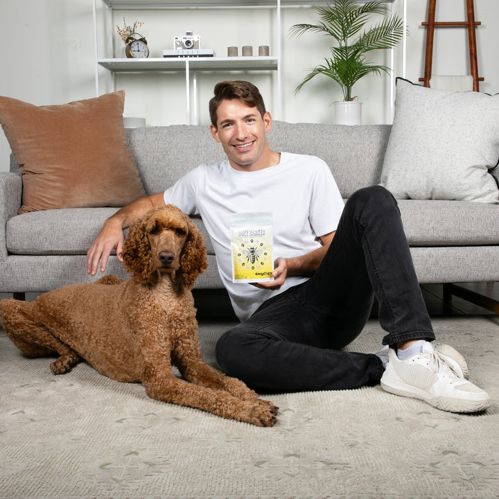 Buzz Barker - A Bee Pollen Food Topper for Dogs