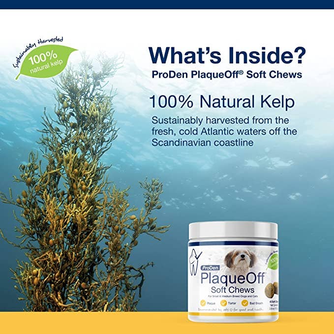 Pet Palette Distribution - PlaqueOff Soft Chews Small/Medium Breed 45ct