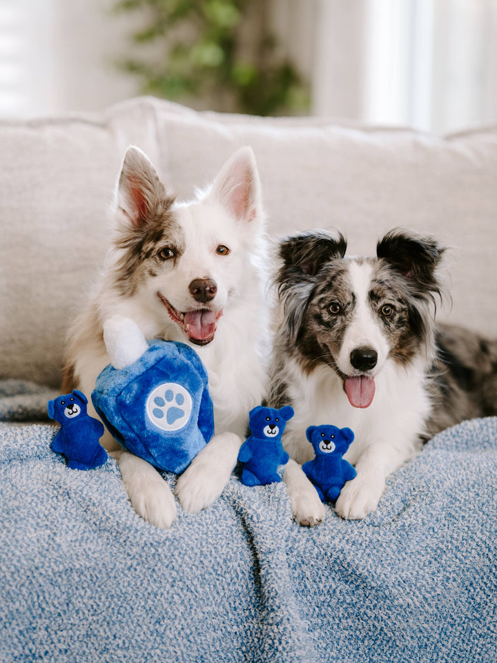 ZippyPaws - Hanukkah Burrow - Dreidel - Holiday Dog Toy