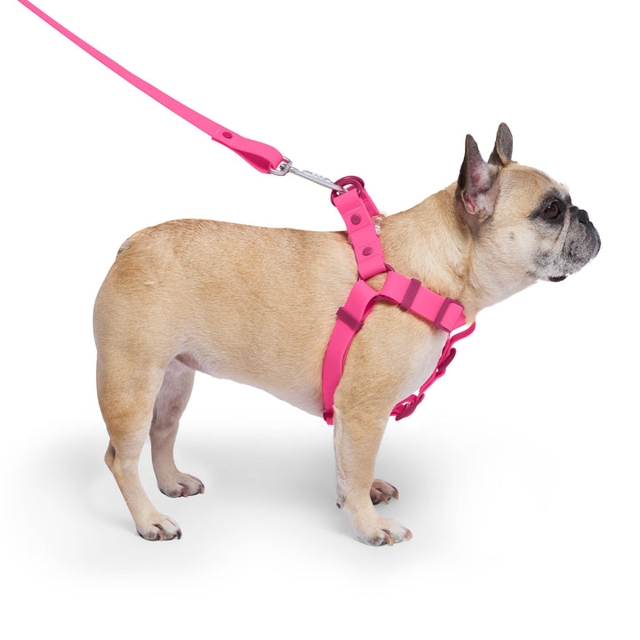Canada Pooch - Waterproof Dog Harness (Pink): XL / Pink