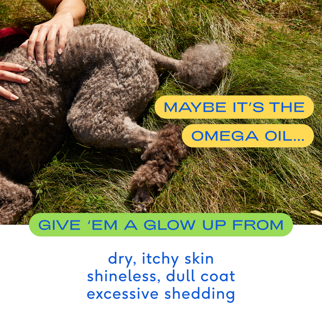 Native Pet - Omega Oil: 8 oz