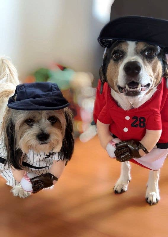 Show & Tail - Pet Apparel - The Home Ruff: M