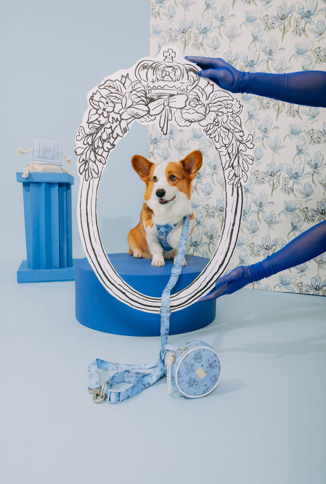 maxbone - Bridgerton x maxbone Walk Set for Dogs: Small