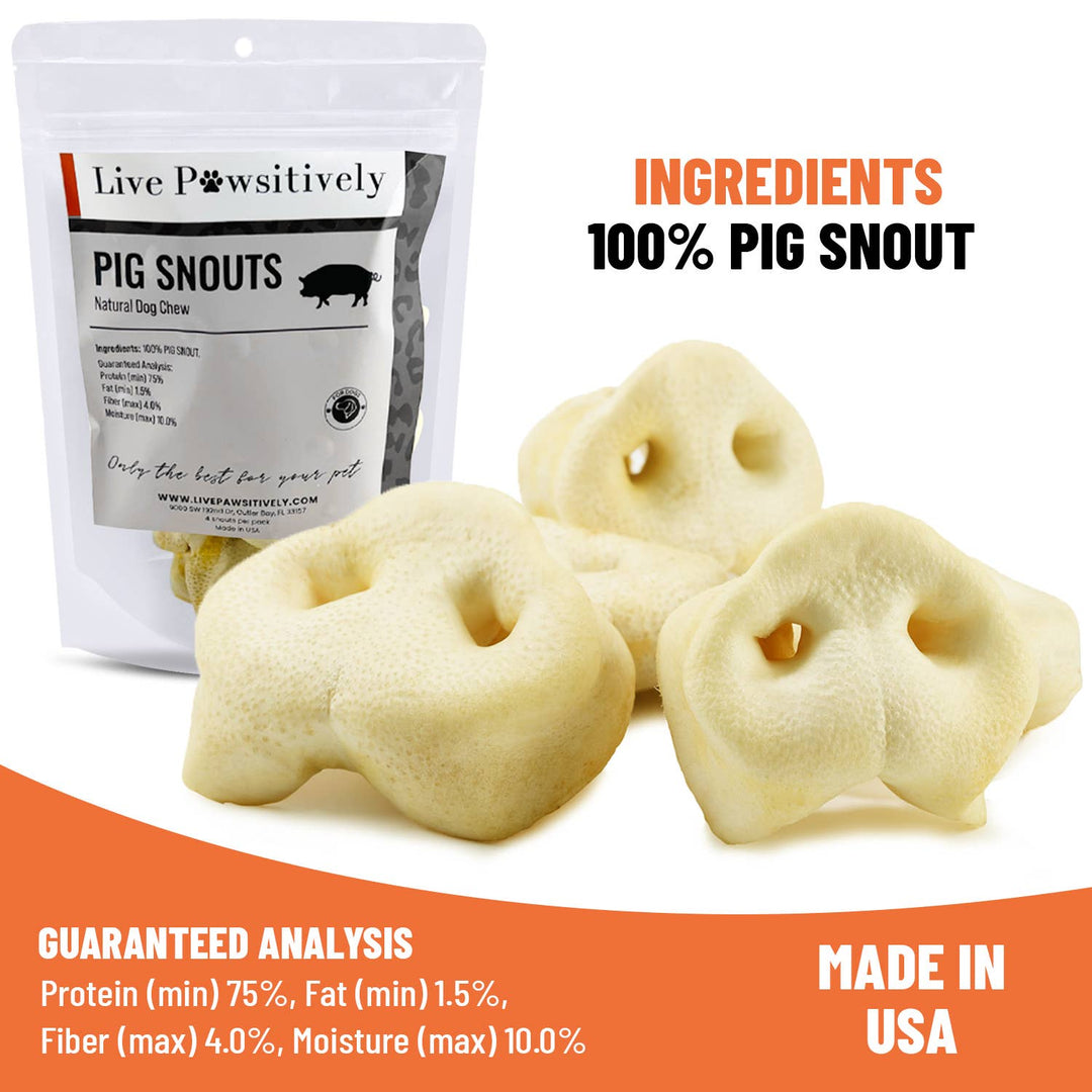 Live Pawsitive - Pig Snout 4 Pack - Natural dog chew