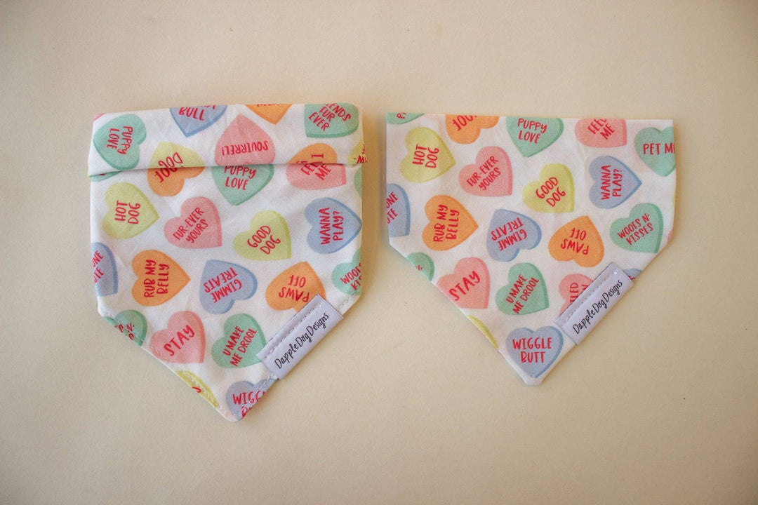 Dapple Dog Designs - Conversation Hearts Bandana - Valentine's Day Dog Bandana