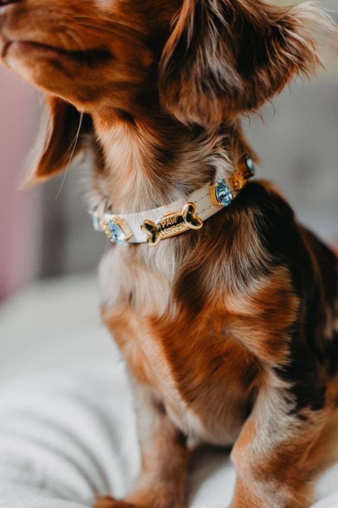Paw London - Hampstead Blue Swarovski Collar White: M