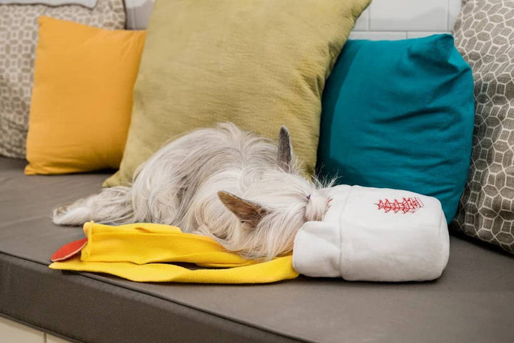 Pet Palette Distribution - Injoya Take Out Snuffle Toy