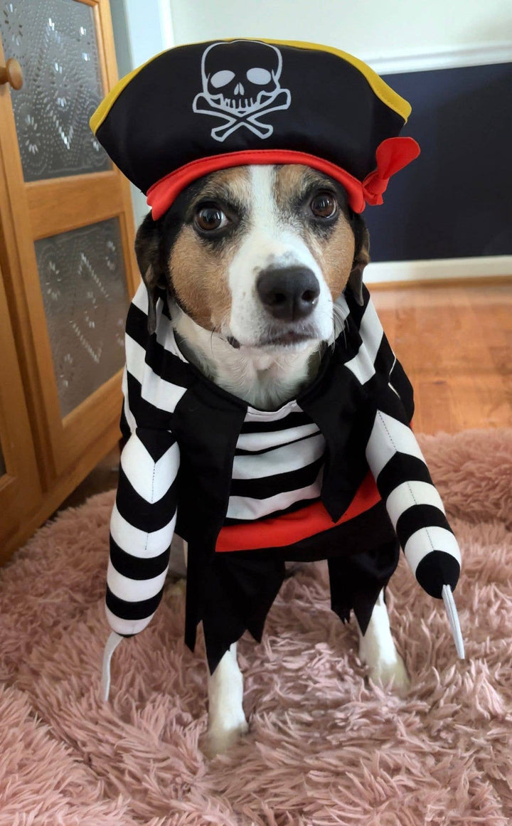 Show & Tail - Pet Apparel - Black Paw-Irate: L