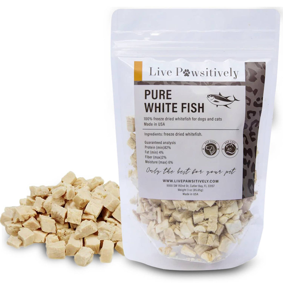 Live Pawsitive - White Fish Freeze Dried Dog/Cat Treat 3oz