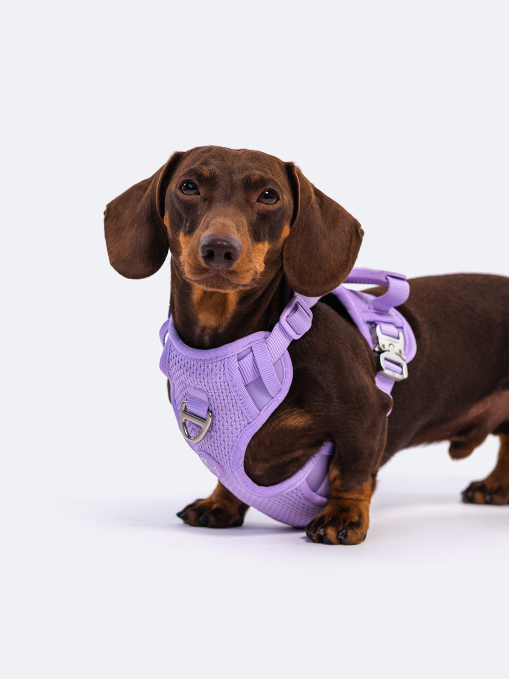 RIFRUF - Commuter Harness: Borough / S