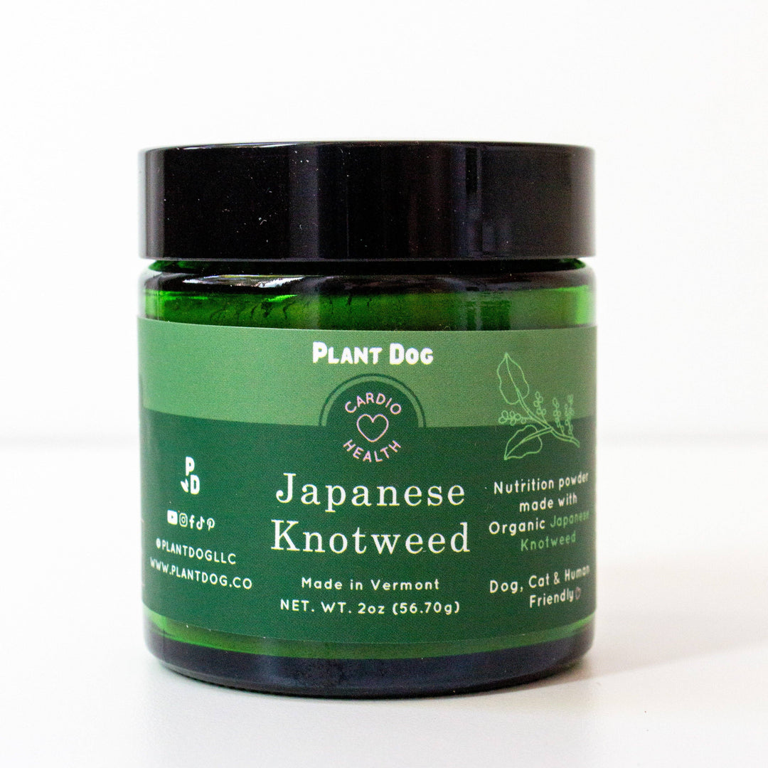 Plant Dog LLC - Japanese Knotweed Powder