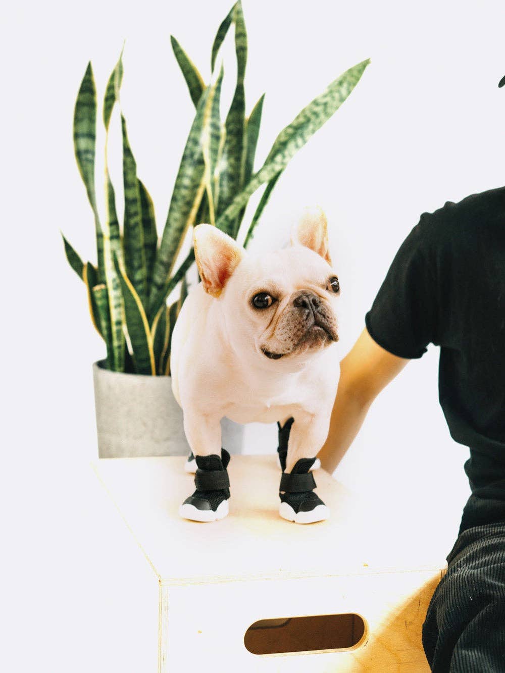 RIFRUF - Caesar 1: Black / 5