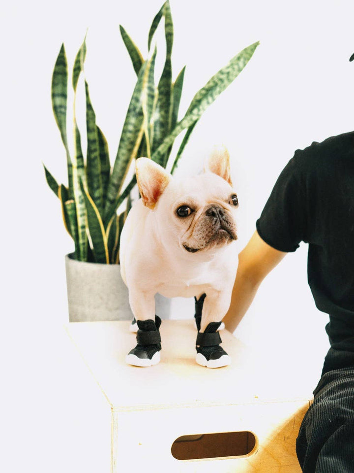 RIFRUF - Caesar 1: Black / 5