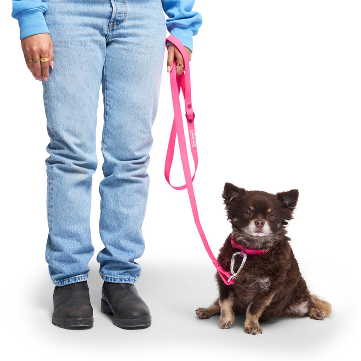 Canada Pooch - Waterproof Dog Leash (Pink): S/M / Pink