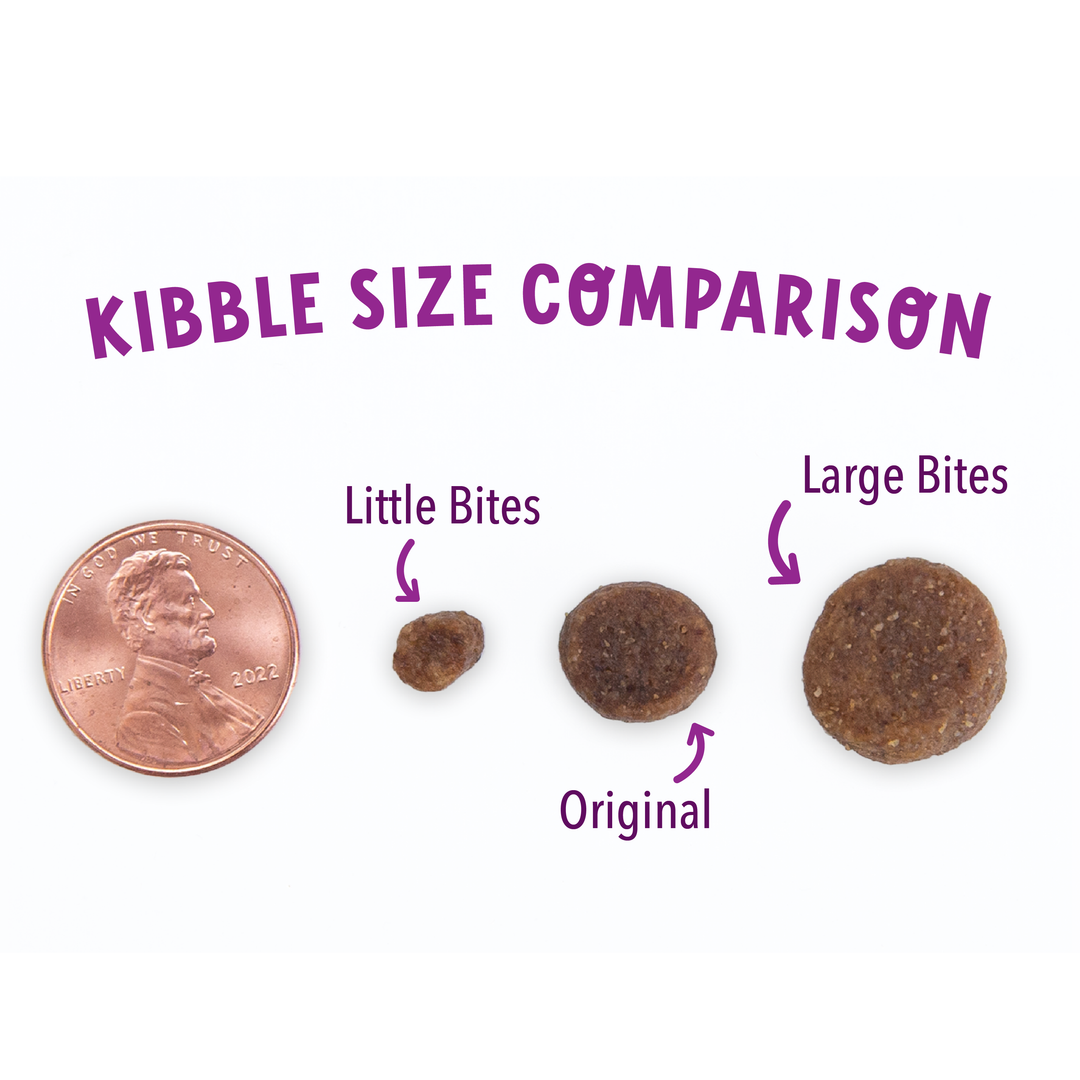 Health Extension Pet Care - Grain Free Salmon & Sweet Potato Little Bites Recipe: 3.5lb