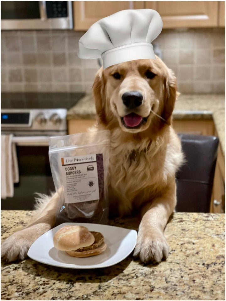 Live Pawsitive - Doggy Burgers