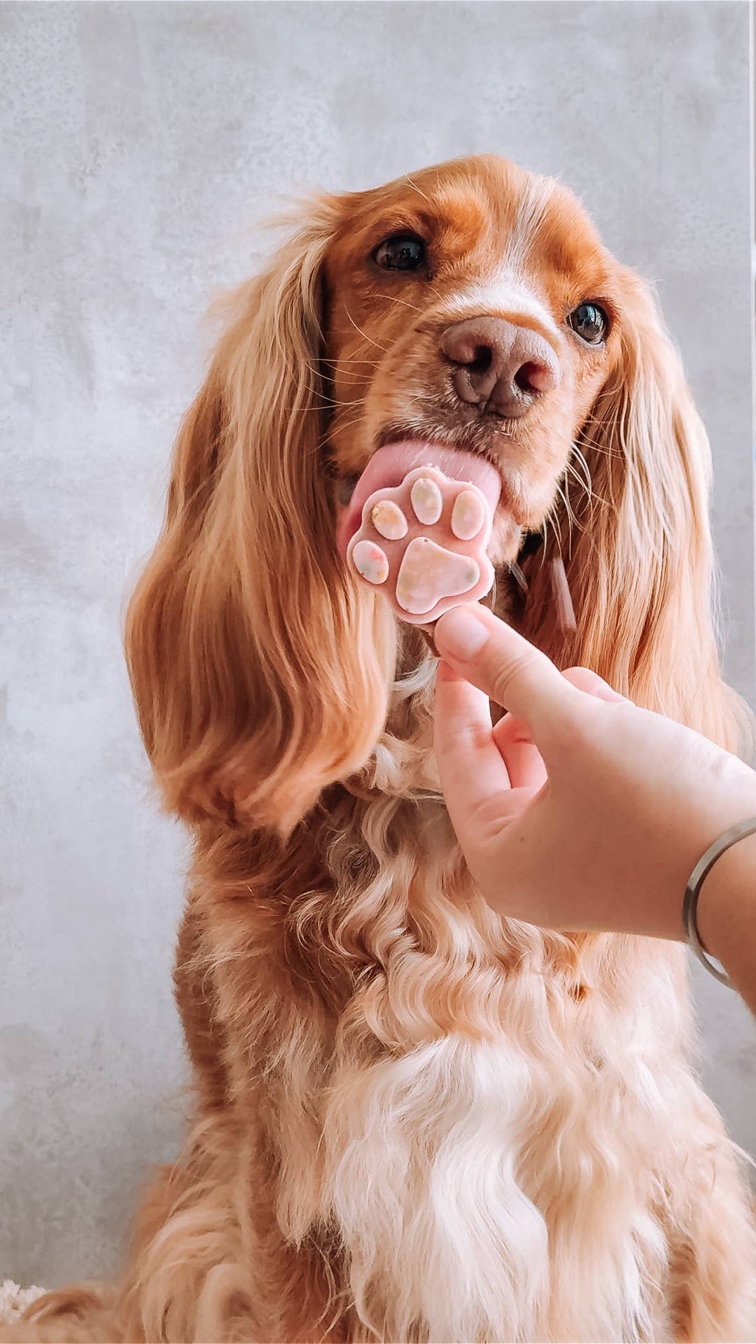 Cooka's Cookies - Ice-cream Mix with real chicken & strawberry for pets