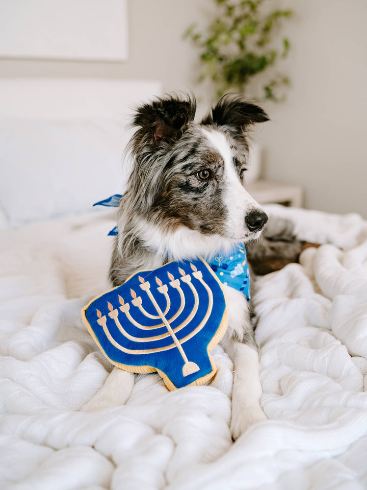ZippyPaws - Hanukkah Squeakie Pattiez - Menorah - Holiday Dog Toy