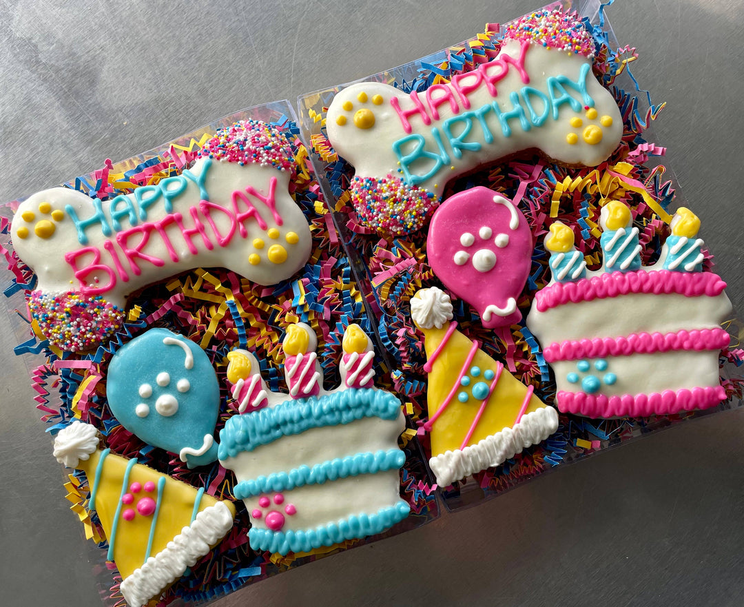 YumYum4DOGS - Happy Fiesta PAWTY Dog Treat (GIFT BOX): Happy birthday