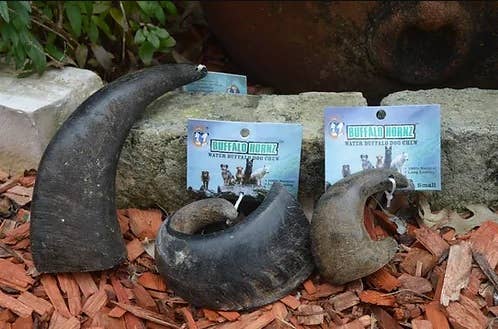 Klearwater Distribution - Water Buffalo Horn Dog Treat / Chew: Small