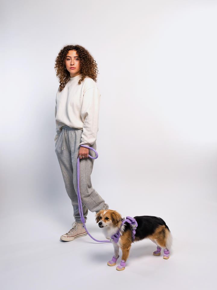 RIFRUF - Commuter Leash: Taro / 73in Length