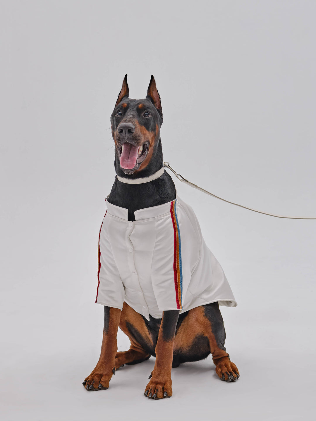 PEHOM - Pet Velvet Striped Jacket: S