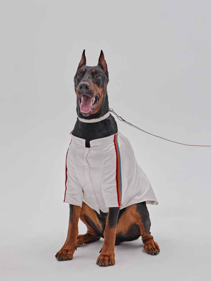 PEHOM - Pet Velvet Striped Jacket: S